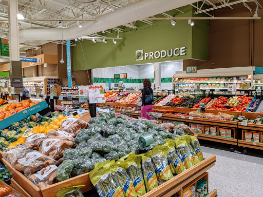 Springhill Commons - Visual