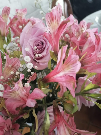 Distribuidora De Flores Villegas