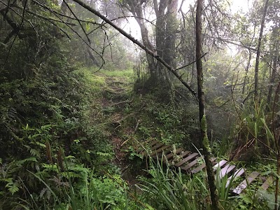 Photos of Mount Park Guest Farm