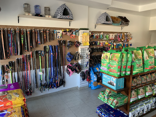 Pet Land Veterinaria