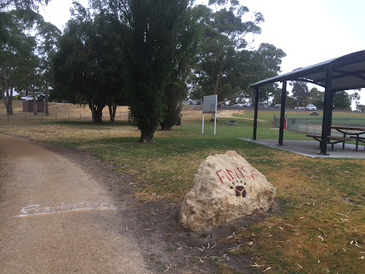 Naracoorte Lake parkrun Gallery - Australia