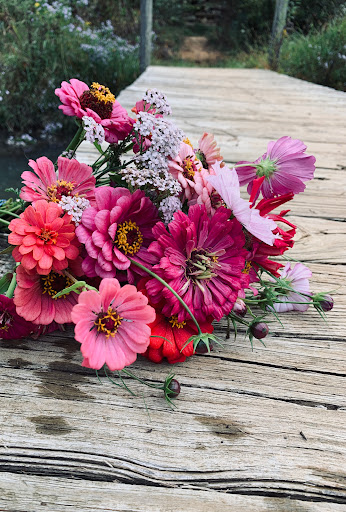 Zincseed Garden Flower Farm - United States
