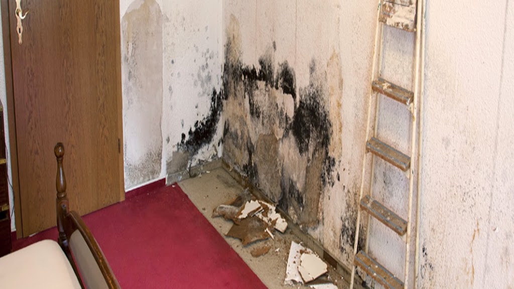 Specialized Cleaning And Flood Restoration Inc photo