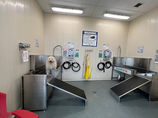 Whitefish Superwash Inc. - Thumbnail