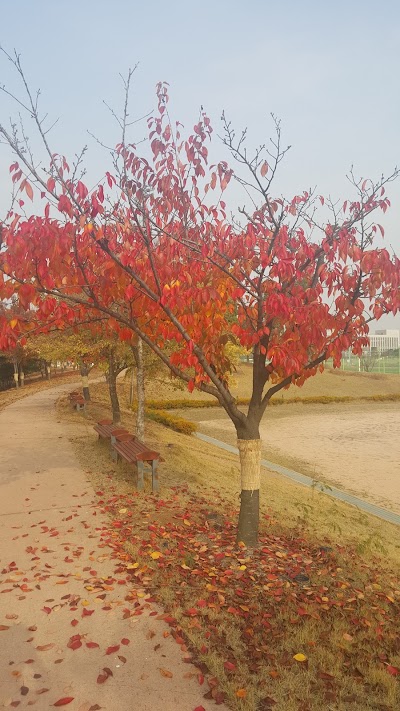 Photos of Incheon National University