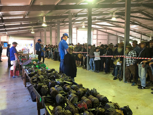 Bundaberg Auctions Australia Wide - Matt Beer - Thumbnail
