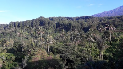 Photos of Hotel Rosenda