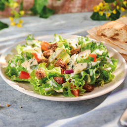 Photo n°60 de Buffalo Grill Landerneau à Landerneau (Restaurant de grillades à l'américaine)