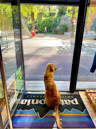 Photo n°4 de PATAGONIA BAYONNE à Bayonne (Magasin de vêtements)