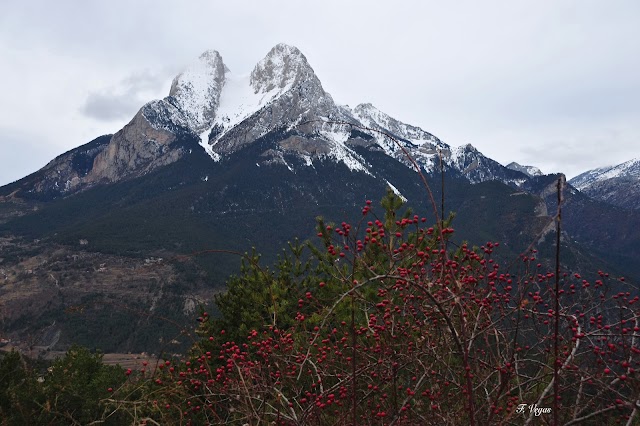 Hostal Pedraforca s.a.