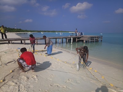 Photos of Vaka Park