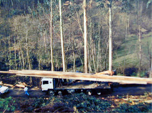 Simane Transportes y Cantería S.L. - Thumbnail