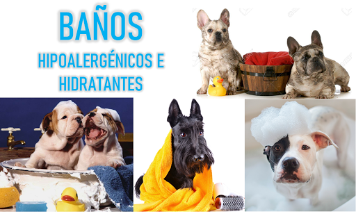 SPA CAN "Siempre Guua guuapos" - Thumbnail