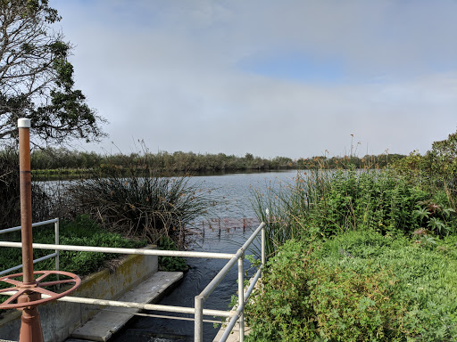 Ventura Sewer & Wastewater Services - Thumbnail