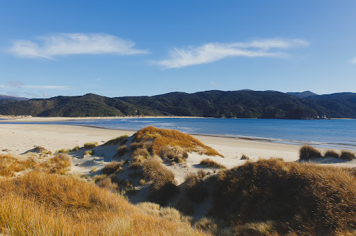Stewart Island Helicopters - Thumbnail