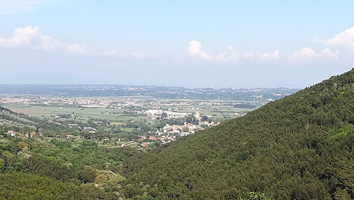 AGRITURISMO CAMPO DEI LUPI Gallery - Italy