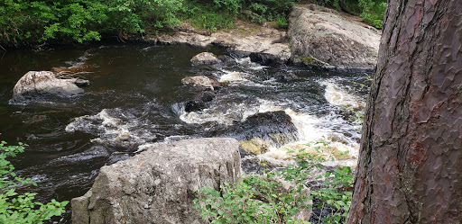 First Falls - Visual