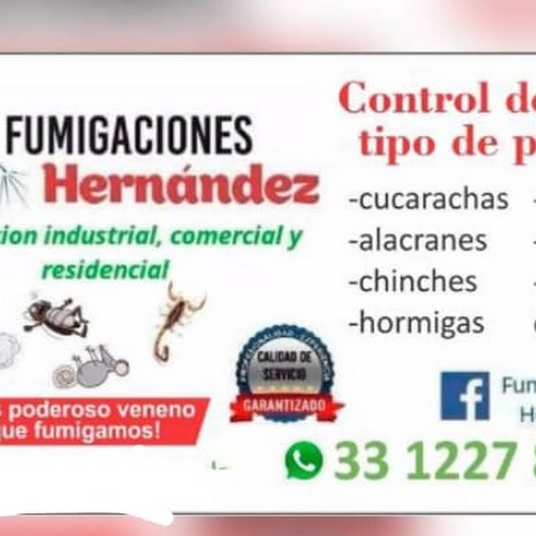 FUMIGACIONES - De Fumigación Control De en La Alameda