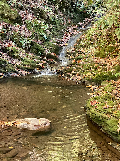 Pete's Branch Falls - Thumbnail