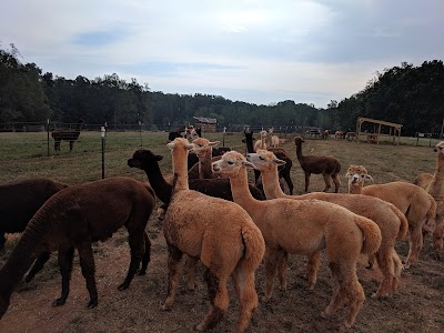 Smith Mountain Lake Farm Alpacas