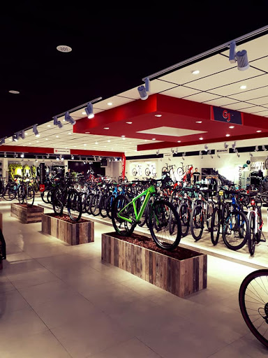 GJ Cycling Shop sprl - Thumbnail