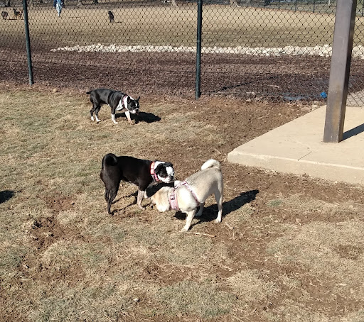 Ballenger Creek Dog Park - Thumbnail