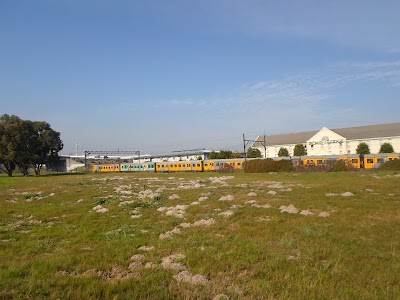 Photos of Monte Vista