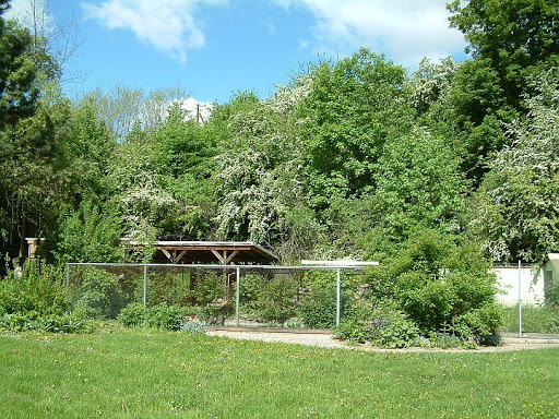 Tümpelgarten - Thumbnail