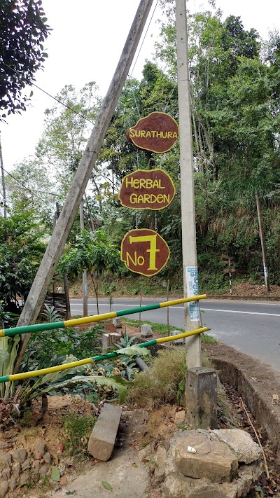 Photos of Surathura Spice & Herbal Garden