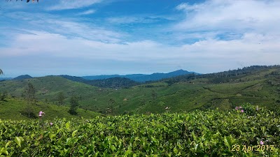 Photos of Puncak Mulya