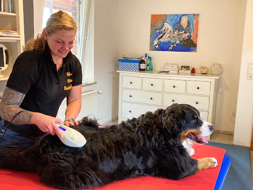 Hunde-Physio Breitenfelde Osteopathie und Physiotherapie für Hunde