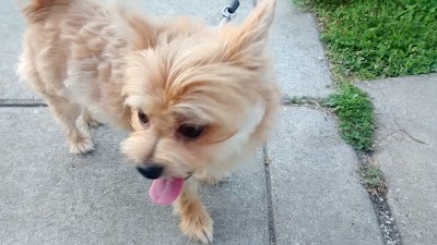 Photos of Hessel Park