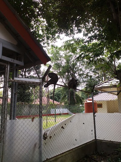 Photos of Patra Jaya Stadium