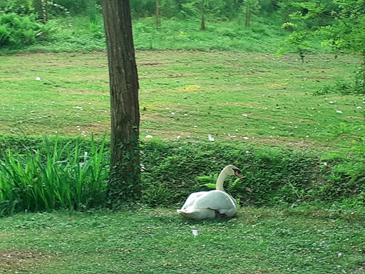 Photo de L’Orangerie du Château de Bordus à Sainte-Marie-de-Gosse (40390)