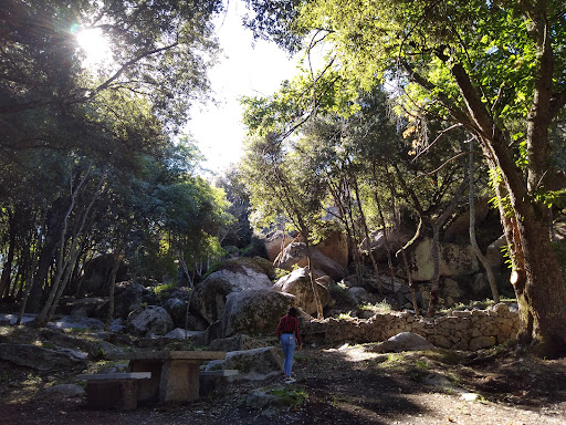 Capitza Park - Visual