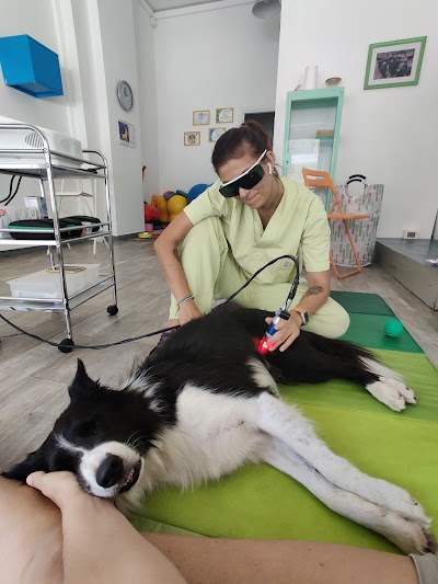 Dog Fisio Lab Dott.ssa Rita Tofani fisioterapia veterinaria