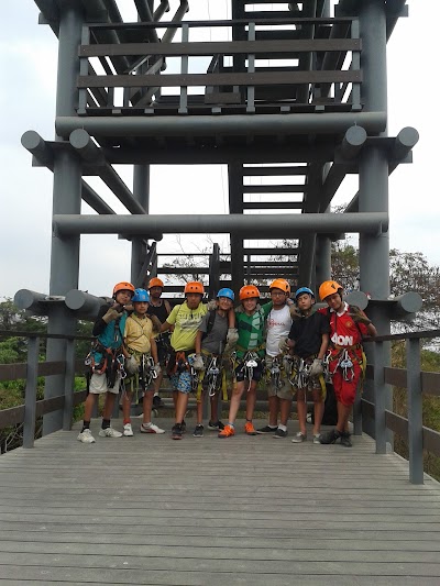 Photos of Canopy of Samanes Park