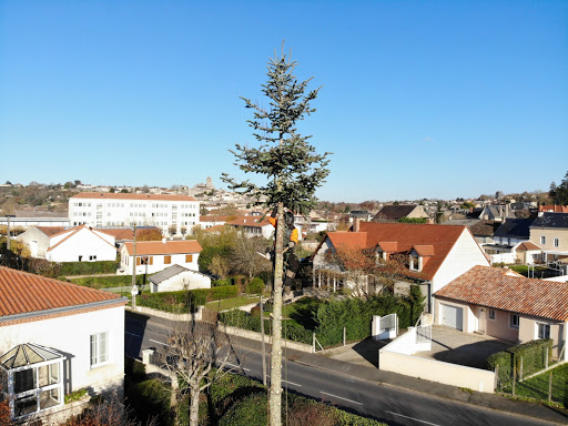 Arbor et vie