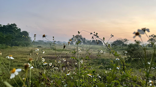 Ulu Sembawang Sunrise Viewing Point - Thumbnail