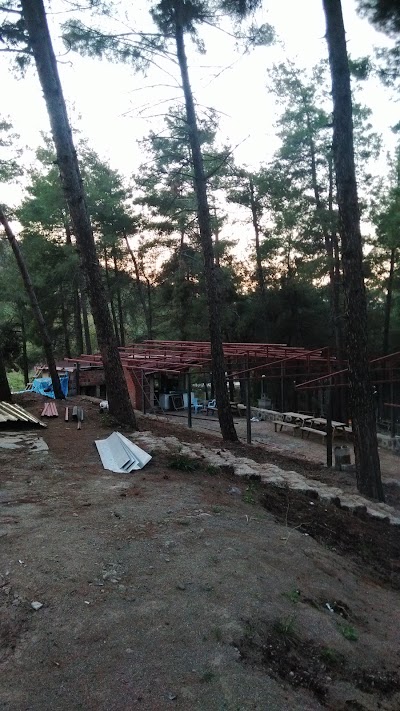 Photos of Hisar Pine Grove Nature Park