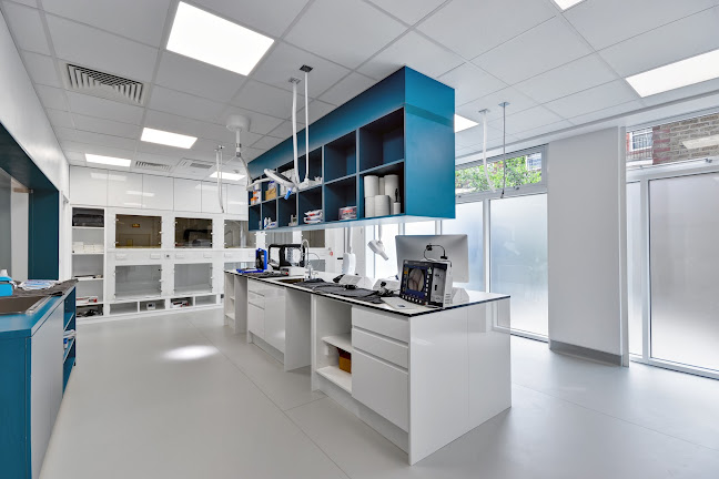 The London Cat Clinic - London