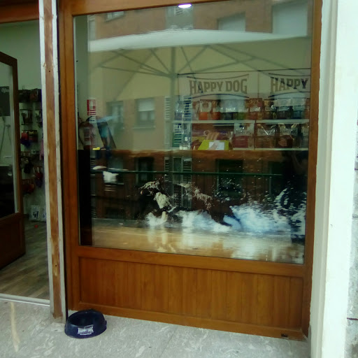 maskotak ortuella