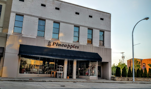 Pineapples - Visual