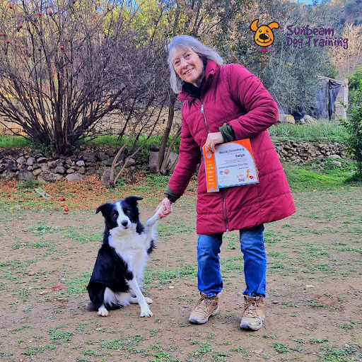 Sunbeam Dog Training & Behaviour - Thumbnail