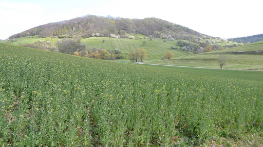 Gemeinde Löberschütz - Visual