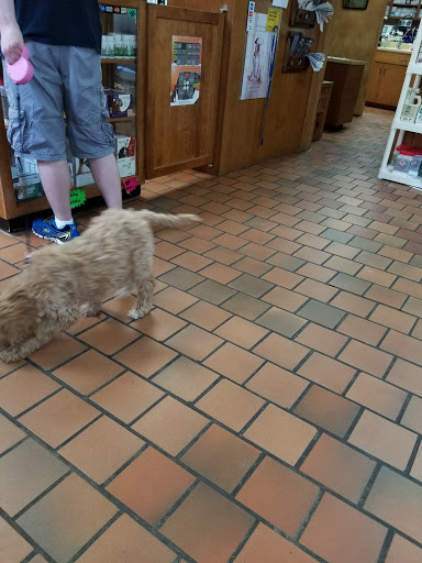 Broadfoot Veterinary Clinic