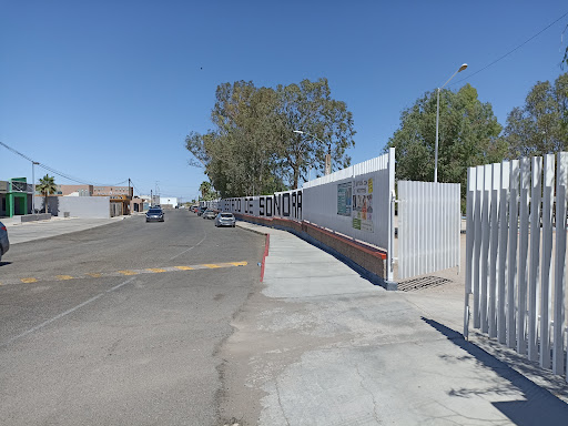 Colegio de Bachilleres del Estado de Sonora Gallery - Mexico