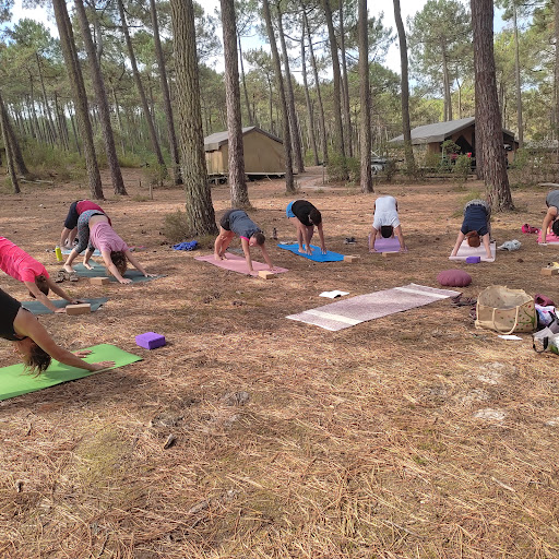 Charlotte Fayet - Yoga/ Naturopathie Natur-Ocean À Carcans - Thumbnail