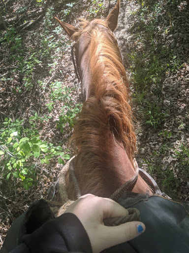 Calico Junction New Beginnings Ranch, Inc. - Thumbnail