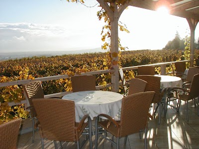 Photos of Weingut | Gutsausschank Goldatzel